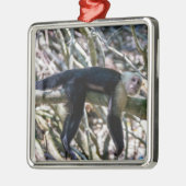 Pura vida voor witgezichtsap metalen ornament (Links)