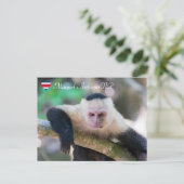 Pura vida voor witkopkapucijnaap briefkaart (Staand voorkant)