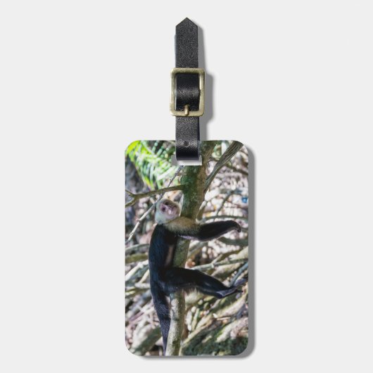 Pura vida Witkopaap Bagagelabel (Voorkant verticaal)