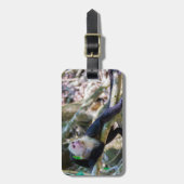 Pura vida Witkopaap Bagagelabel (Voorkant verticaal)