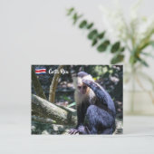 Pura vida Witkopaap Briefkaart (Staand voorkant)