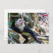 Pura vida Witkopaap Briefkaart (Voorkant / Achterkant)