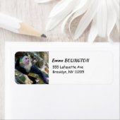 Pura vida Witkopaap Etiket (Insitu)