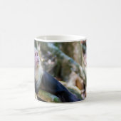 Pura vida Witkopaap Koffiemok (Center)