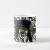 Pura vida Witkopaap Koffiemok (Center)