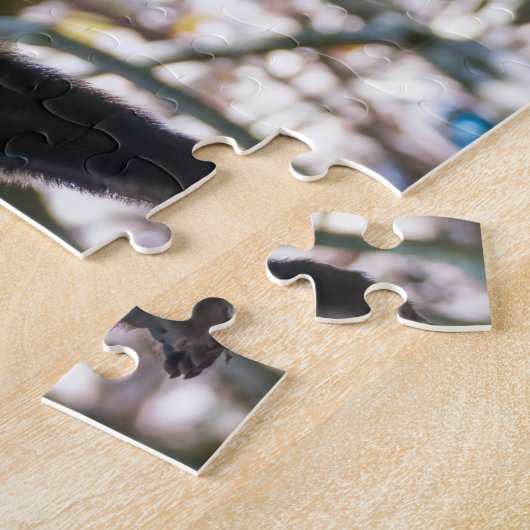 Pura vida Witkopaap Legpuzzel (Zijkant)