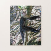 Pura vida Witkopaap Legpuzzel (Verticaal)