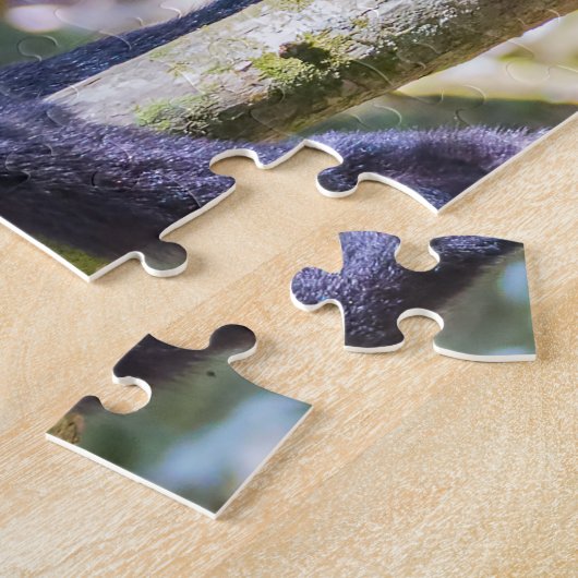 Pura vida Witkopaap Legpuzzel (Zijkant)