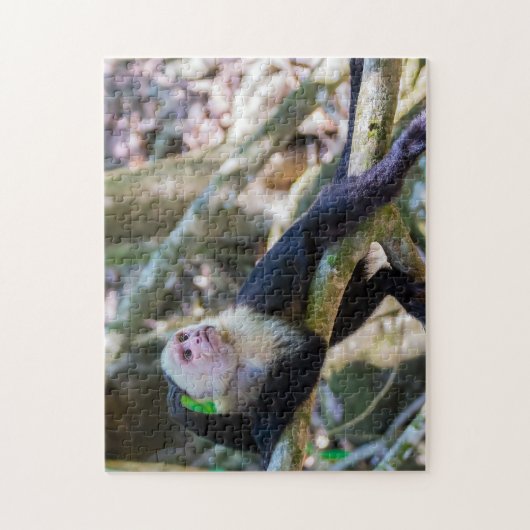 Pura vida Witkopaap Legpuzzel (Verticaal)