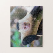 Pura vida Witkopaap Legpuzzel (Verticaal)