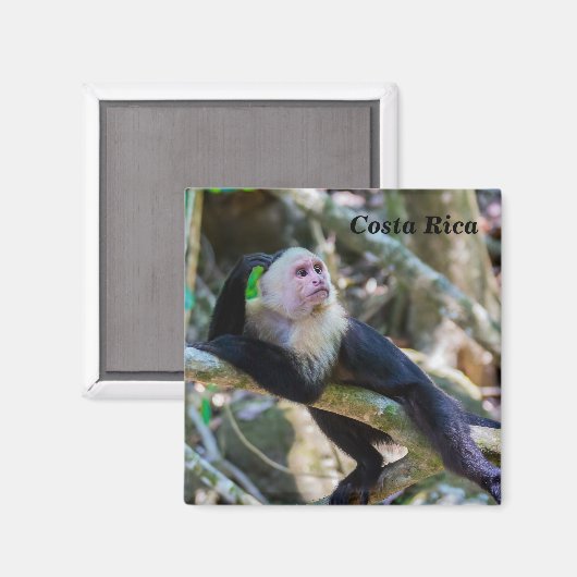 Pura vida Witkopaap Magneet (Voorkant / Achterkant)