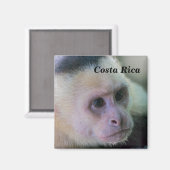 Pura vida Witkopaap Magneet (Voorkant / Achterkant)