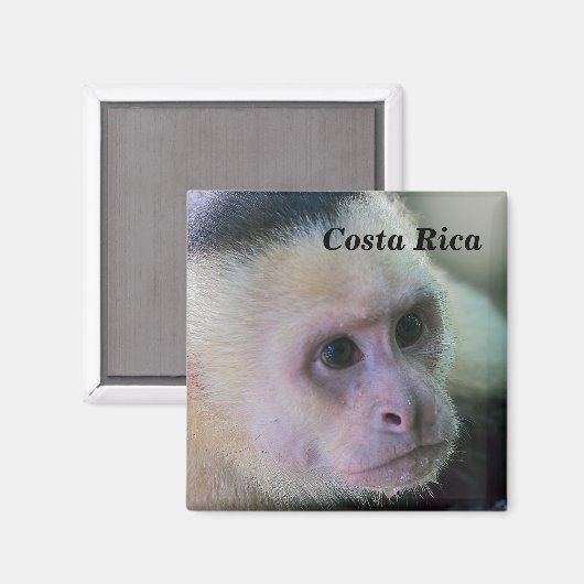 Pura vida Witkopaap Magneet (Voorkant / Achterkant)