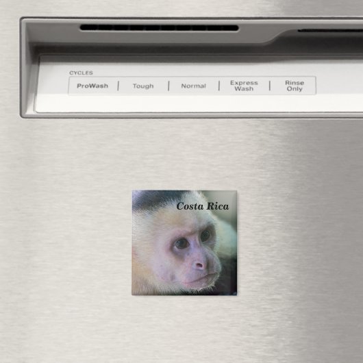 Pura vida Witkopaap Magneet (Insitu (Vaatwasser))