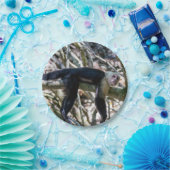 Pura vida Witkopaap Papieren Bordje (Feest)