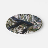 Pura vida Witkopaap Papieren Bordje (Gekanteld)