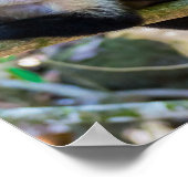 Pura vida Witkopaap Poster (Hoek)