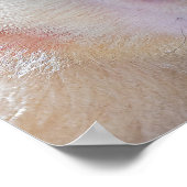 Pura vida Witkopaap Poster (Hoek)