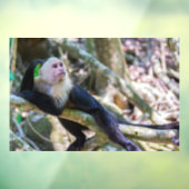 Pura vida Witkopaap Raamsticker (Vel 3)