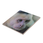 Pura vida Witkopaap Tegeltje (Zijkant)