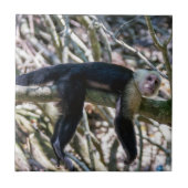 Pura vida Witkopaap Tegeltje (Voorkant)