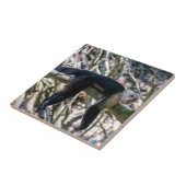 Pura vida Witkopaap Tegeltje (Zijkant)