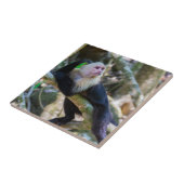 Pura vida Witkopaap Tegeltje (Zijkant)