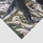 Pura vida Witkopaap Tissuepapier (Detail)