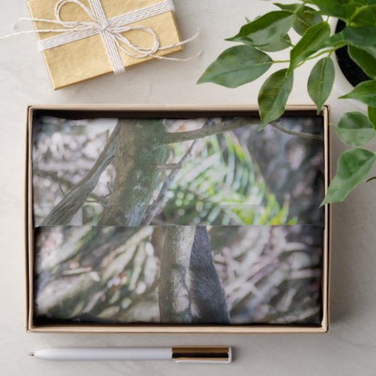 Pura vida Witkopaap Tissuepapier (Geschenk)