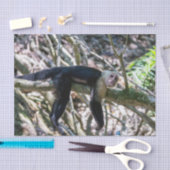 Pura vida Witkopaap Tissuepapier (Craft)