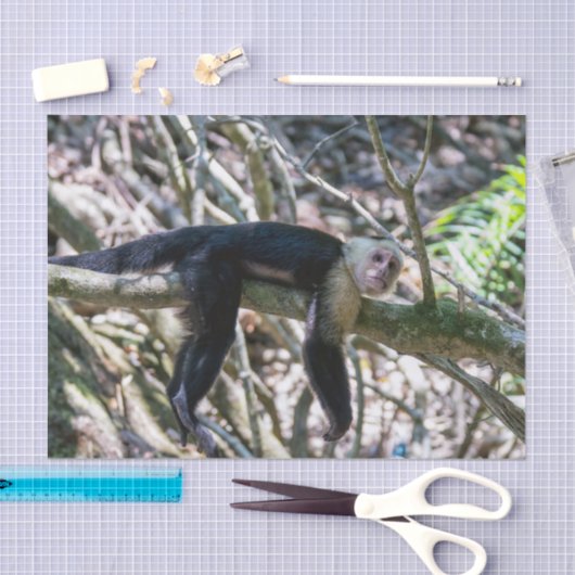 Pura vida Witkopaap Tissuepapier (Craft)