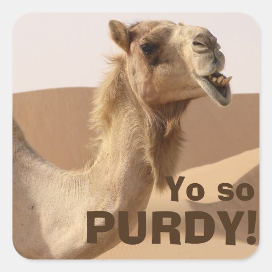 Purdy Camel Vierkante Sticker (Voorkant)