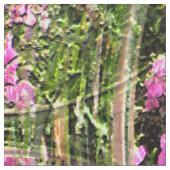 Purdy in Pink..... Stof (Close Up)