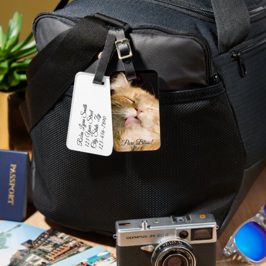 Pure Bliss | Fotosjabloon Maine Coon Close-up Bagagelabel (Voorkant /achterkant)