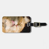 Pure Bliss | Fotosjabloon Maine Coon Close-up Bagagelabel (Voorkant horizontaal)