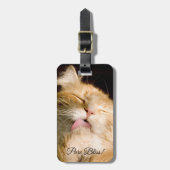 Pure Bliss | Fotosjabloon Maine Coon Close-up Bagagelabel (Voorkant verticaal)