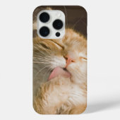 Pure Bliss Maine Coon Cat Close-up foto Case-Mate iPhone Case (Achterkant)