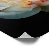 Pure Bliss Roos Poster (Hoek)