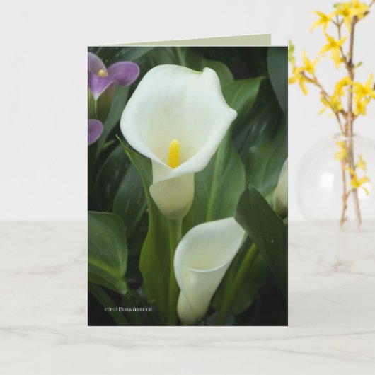 Pure Calla Kaart (Gele Bloem)