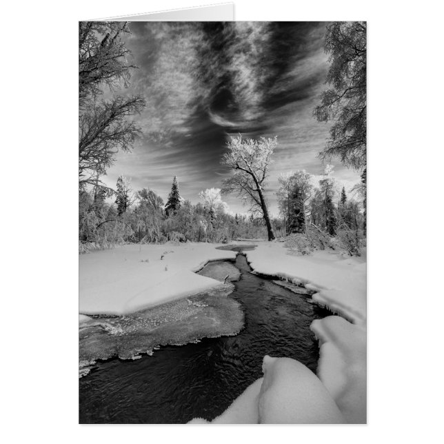 Pure Campbell Creek (Voorkant)