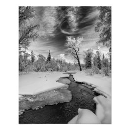 Pure Campbell Creek Foto Afdruk