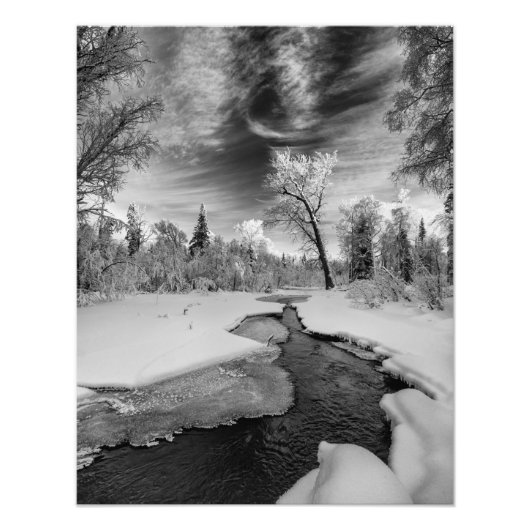 Pure Campbell Creek Foto Afdruk (Voorkant)