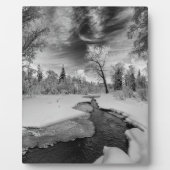 Pure Campbell Creek Fotoplaat (Voorkant)