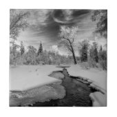 Pure Campbell Creek Tegeltje (Voorkant)