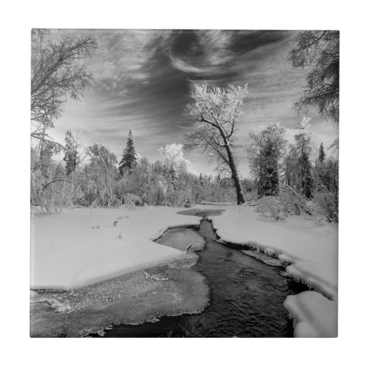 Pure Campbell Creek Tegeltje (Voorkant)