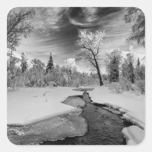 Pure Campbell Creek Vierkante Sticker (Voorkant)