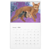 Pure Cat Calendar - Pas elke maand en elk jaar aan Kalender (Jan 2026)