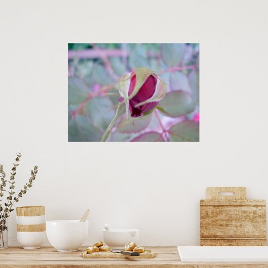 Pure Elegance Poster (Keuken)