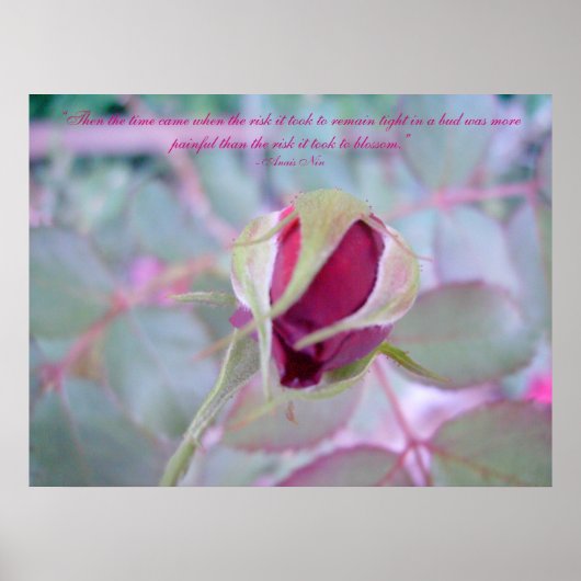 Pure Elegance Poster (Voorkant)