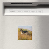 Pure Gefokte Duitse Herder Foto op Magnet (Insitu (Vaatwasser))